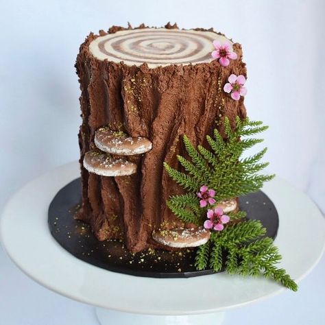 Tree Stump Cake With Flowers, Tree Stump Birthday Cake, Tree Stump Cake Ideas, Nature Themed Cake, Woodland Creature Cake, Earthy Cake, Tree Bark Cake, Bugs Cake, Birch Tree Cake