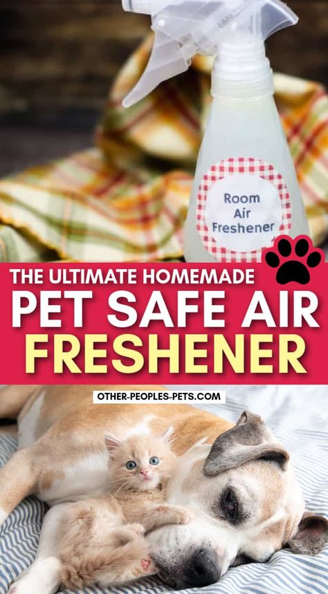 Looking for a pet-safe air freshener? Learn how to make pet-friendly air fresheners using essential oils to help with unwanted odors. Safe Air Freshener, Natural Air Freshener Diy, Diy Room Spray Essential Oils, Dog Deodorizer Spray, Natural Room Deodorizer, Diy Air Freshener Spray, Homemade Room Spray, Homemade Febreze, Air Freshener Recipes