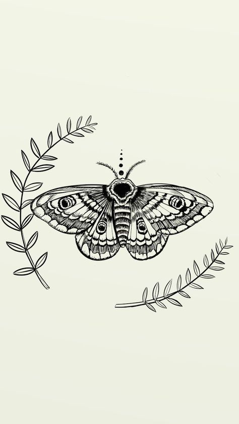 Moth Tattoo Template, Moth And Sun Tattoo, Moth And Vine Tattoo, Cool Moth Tattoo Designs, Illustrative Moth Tattoo, Moth Tattoo Design Thigh, Basic Moth Tattoo, Moth With Eyes On Wings Tattoo, Moth Vs Butterfly Tattoo