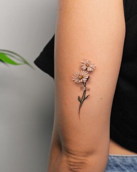 Xray Flower Tattoo Daisy, Daisy Tattoo Cover Up Ideas, Botanical Daisy Tattoo, Tattoo Ideas Female Daisy, Minimal Daisy Tattoo, Margarita Flower Tattoo, Olivia Tattoo, White Daisy Tattoo, Small Daisy Tattoo