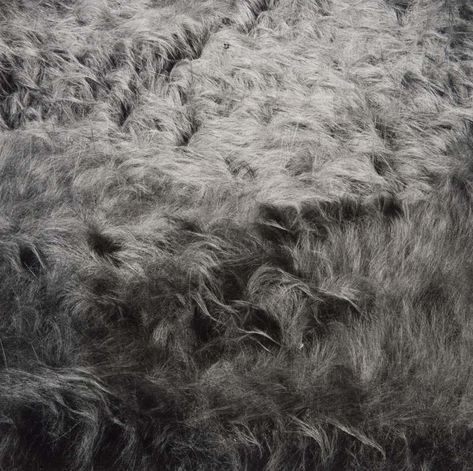 Laura Makabresku, Straight Photography, Harry Callahan, American Photography, Fine Art Landscape Photography, Georgia Mountains, History Of Photography, Fine Art Landscape, Tate Modern