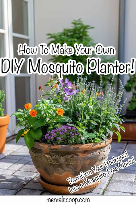 Mosquito Repelling Planter Ideas, Mosquito Repelling Planters Patio, Diy Mosquito Repellent Planter, Anti Bug Plants, Bug Repellent Planter Ideas, Mosquito Free Backyard, Misquote Repellent Potted Plants, Mosquito Repellent Planter Ideas, Mosquito Planter Ideas