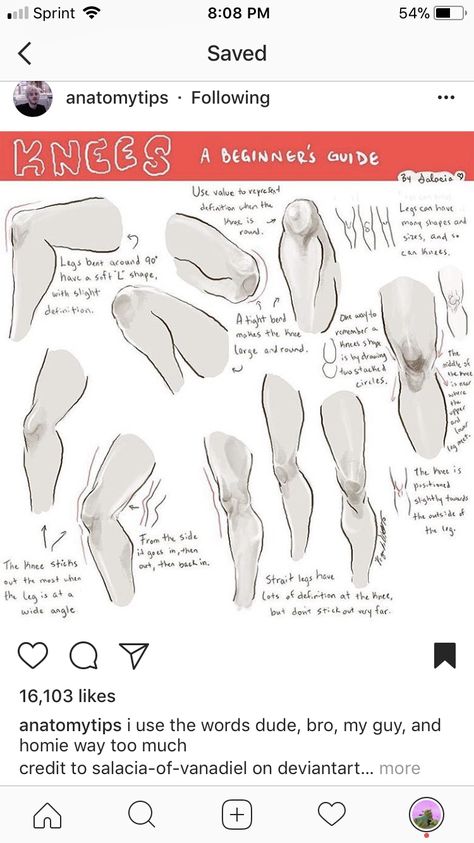 Anatomy Leg Study Reference, Calves Drawing Reference, Anatomy Reference Tips, Leg Anatomy Tutorial, Calf Reference Drawing, Art Anatomy Tutorial, Art Body Study, Leg Anatomy Drawing Reference, Anatomy Lessons Drawing