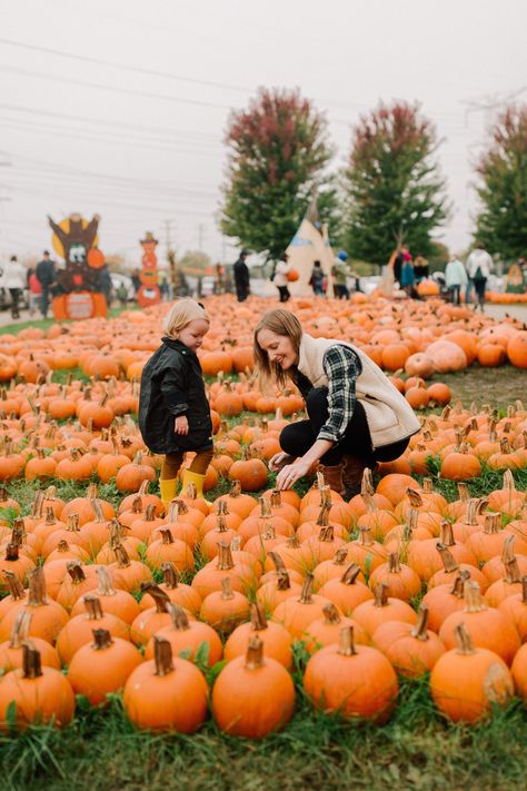 Autumn Activities For Toddlers, Family Photo Outfits Winter, Kelly In The City, Art Activities For Toddlers, Fall Family Photo Outfits, Fall Family Pictures, Autumn Activities For Kids, Family Holiday Photos, Pumpkin Picking