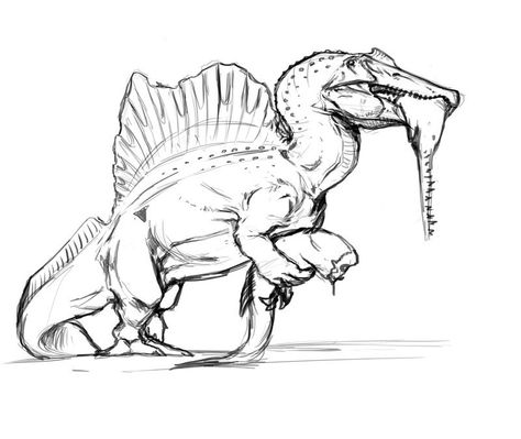 ArtStation - THE LAST THEROPOD - SPINOSAURUS Spinosaurus Anatomy, Brachiosaurus Illustration, Spinosaurus Drawing, Spinosaurus Art, Velociraptor Drawing, Dino Drawing, Prehistoric Animals Dinosaurs, Dinosaur Sketch, Cool Dinosaurs