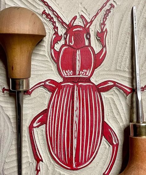 Caroline Erolin - Printmaker on Instagram: "Some close ups! These are carved and ready for the next layer:) #linoprint #linocut #drawing #insectart #wipprintmaking #lino #handprinted #wildlifeart #natureart #gardenwildlife #insectlovers #entymology #bugart #creepycrawly #reductionprint #blockprinting #reliefprinting #handcarvedstamps #art #printmaking #natureprints #womenwhoprint #animalart #natureartist #pfieltools #beetle #bugsafari #illustration #woodlouse #millipede" Lino Butterfly, Bug Linocut, Bug Lino Print, Bug Block Print, Linoprint Ideas, Beetle Linocut, Insect Linocut, Cicada Linocut, Lino Design