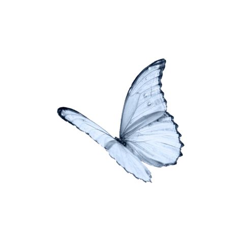 Aesthetic Wallpaper Widget, Butterfly Pastel, American Cottage, Wallpaper Widget, Pastel Butterfly, Pinterest Icon, Widget Icon, Blue Butterfly, Blue