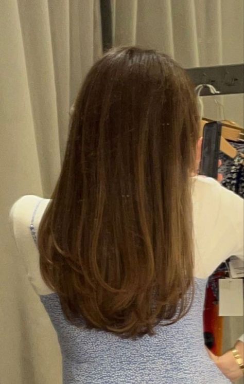 Long Blended Layers With Curtain Bangs, Haïr Cut Length Hair, Hair Cuts Mid Length Straight, Layers Inspo Long Hair, Medium Length Haircut With Light Layers, Long To Medium Length Haircut, Haircut Inspiration Thick Hair, Haircuts Woman Long, Subtle Layered Haircut