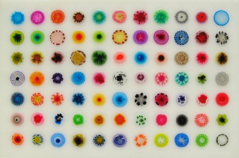 Macbook Air Backgrounds, Be Spontaneous, Macbook Air Wallpaper, Glue Art, Systems Theory, Glue Painting, Bio Art, Ipad Background, Petri Dish