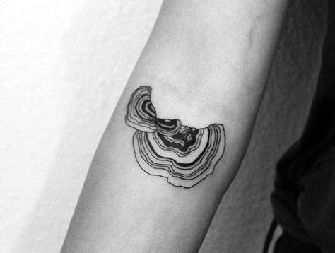 Small Inner Forearm Cool Mushroom Tattoo Design Ideas For Male Turkeytail Mushroom Tattoo, Trippy Floral Tattoo, Tree Mushroom Tattoo, Reishi Tattoo, Abstract Filler Tattoo, Mushroom Outline Tattoo, Shelf Mushroom Tattoo, Environmental Tattoo, Mushrooms Tattoo