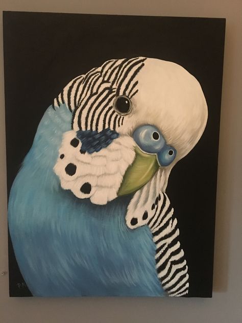 Budgie  Acrylic on Canvas Acrylic Painting Canvas Animals, Painting Ideas On Canvas Birds, Canvas Painting Ideas Birds, Acrylic Fish Painting, Acrylic Bird Paintings On Canvas, Painting Ideas On Canvas Animals, Parrot Art, Budgerigar Drawing, Budgie Drawing