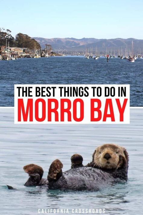 19 Marvelous Things to Do in Morro Bay, California Morro Bay California Things To Do, Morrow Bay California, Morro Bay California, Usa Travel Map, Birthday Plans, 2023 Travel, Road Trip Map, The Troubles, Nevada Travel