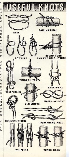 Information Graphics, Simple tasks, Knots Scout Knots, Camping Knots, Survival Knots, Knots Guide, Paracord Knots, Knots Diy, Survival Life Hacks, Rope Knots, Survival Techniques