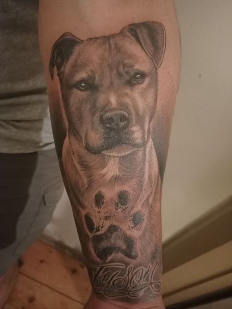 Dogs Face Tattoo, Staffie Tattoo Ideas, Dog Tattoo Sleeve Ideas, Men Dog Tattoo, Dog Tattoo Ideas For Men, Portrait Dog Tattoo, Pitbull Portrait Tattoo, Dog Portrait Tattoo Sleeve, Passing Dog Tattoo