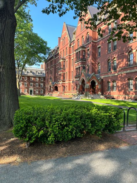 Harvard Girl Aesthetic, Boston College Aesthetic, Harvard University Aesthetic, Picture Of A School, Lorelai Gilmore Aesthetic, Harvard Aesthetic, Harvard Uni, Gilmore Lorelai, Boston Cambridge