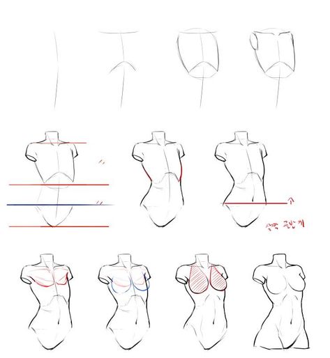 Drawing Eyes, Drawing Anime Bodies, Drawing Female Body, Couple Drawing, Výtvarné Reference, Anatomy Tutorial, Human Anatomy Drawing, Siluete Umane, Female Torso