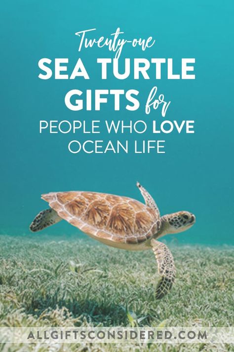 Turtle Gift Ideas, Sea Turtle Decal, Gifts For Boat Owners, Sea Turtle Gifts, Baby Sea Turtles, Ocean Gifts, Sea Turtle Bracelet, Turtle Gifts, Beach Lover Gifts