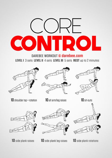 Core Control Workout Muscle Abdominal, Insanity Workout, Kettlebell Training, Best Cardio Workout, Strong Core, Ab Workout At Home, Abdominal Muscles, Core Workout, Judo