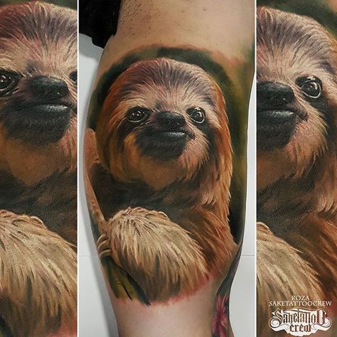 Brand new sloth themed tattoo from Roza! #sloth #realism #color #realistic #animal #portrait Realistic Sloth Tattoo, Realistic Animal Tattoos, Sloth Tattoos, Meditation Tattoo, Sloth Tattoo, Wicked Tattoos, Hummingbird Tattoo, New School Tattoo, Best Friend Tattoos