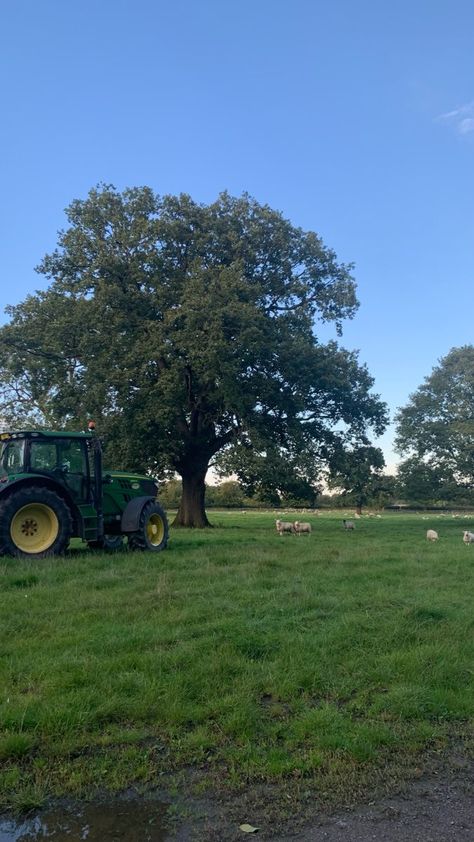 Tractor Aesthetic, Land Aesthetic, Sheep House, Aesthetic Trees, Farm Sheep, Jam Jam, Farm Kids, Farm Lifestyle, Pretty Aesthetic