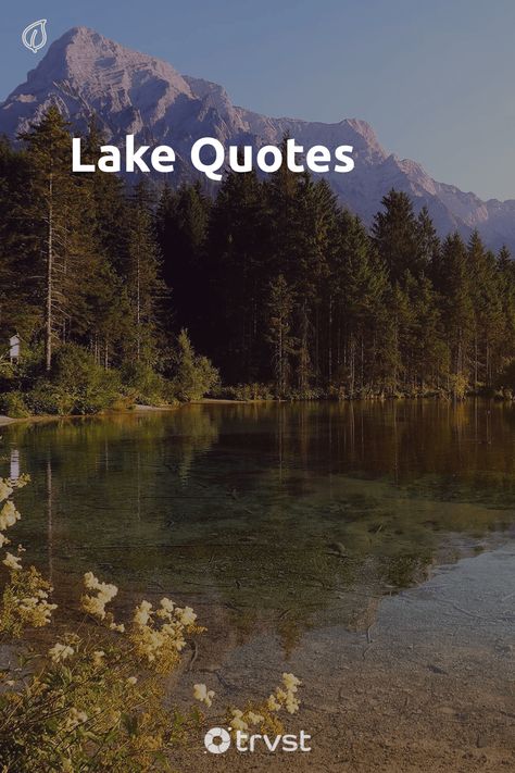 Relaxing Words, Lake Quotes Inspirational, Lake Quotes For Instagram, Water Quotes Nature, Quotes About Lakes, Lakes Quotes, Water Quotes Inspirational, Water Reflection Quotes, Underwater Quotes