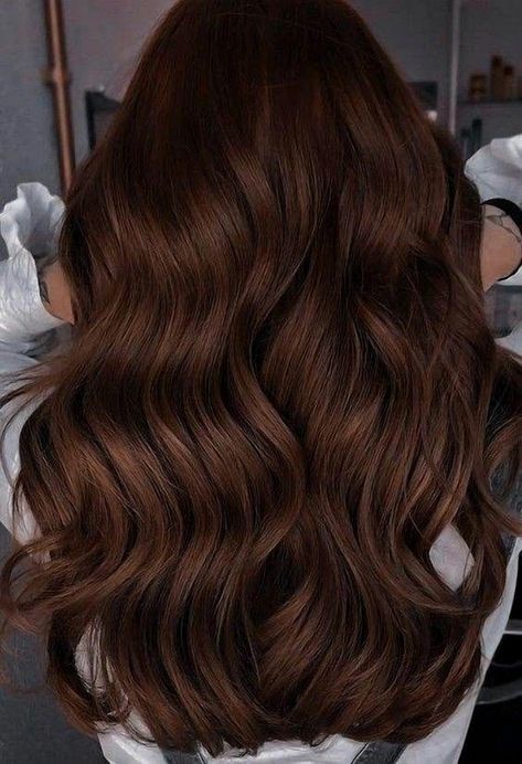 Explore a collection of 25 stunning hair color transformations perfect for brunettes. Trendy Hair Colors For Brunettes, Brown Hair Levels, Dark Golden Brown Hair, Pelo Chocolate, Modern Bob Hairstyles, Hair Levels, Pinterest Cute, Hair Colors For Brunettes, Colors For Brunettes