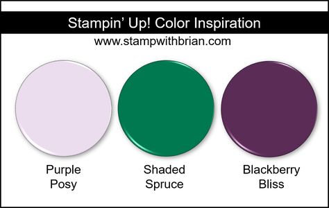 Stampin' Up! Color Inspiration - Purple Posy, Shaded Spruce, Blackberry Bliss Color Trios, Shaded Spruce, Colour Combos, Handmade Inspiration, Colour Inspiration, Color Codes, Designer Series Paper, Beautiful Color Combinations, Colour Combinations