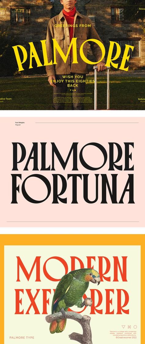 Vintage Style Fonts, Round Serif Font, Cool Serif Fonts, Fun Serif Fonts, Modern Vintage Typography, Trendy Serif Fonts, Serif Font Typography, Midcentury Modern Fonts, Bold Serif Logo