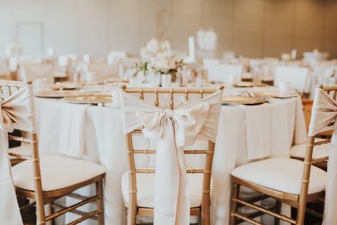 Gold chivari chairs with ivory chair sash bow Chiffon Wedding Chair Sash, White Chair Bows Wedding, Bow Chairs Wedding, Wedding Chairs With Bows, Chivari Chair Decor Wedding, Bows On Chairs Wedding, Chiavari Chair Sash Ideas, Chair Sash Ideas Wedding, Chivari Chairs Wedding