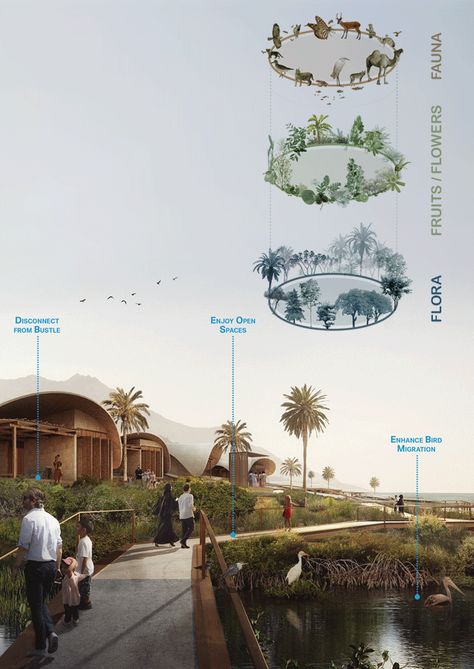 Eco Landscape Design, Landscape Banner Design Layout, Biodiversity Architecture, Ecosystem Architecture, Ecotourism Architecture, Ecological Urbanism, Eco Resort Architecture, Ecosystem Design, Ecological Architecture