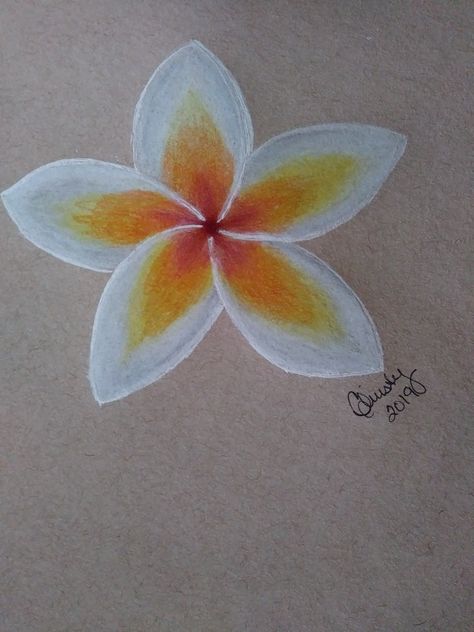 Things To Draw With Color, Simple Drawings With Color, Flower Paintings Simple, Pretty Flowers To Draw, Colour Pencil Drawing Of Flowers, Colored Pencil Art Easy, Coloring Ideas Easy, Plumeria Flowers Drawing, Natural Forms Drawings