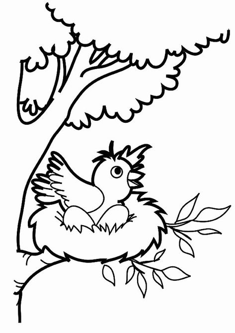 Robin Coloring Pages - Best Coloring Pages For Kids Bird Coloring, Composition Drawing, Scooby Snacks, Shark Coloring Pages, Valentines Day Coloring Page, House Colouring Pages, Preschool Coloring Pages, Spring Coloring Pages, Tree Coloring Page