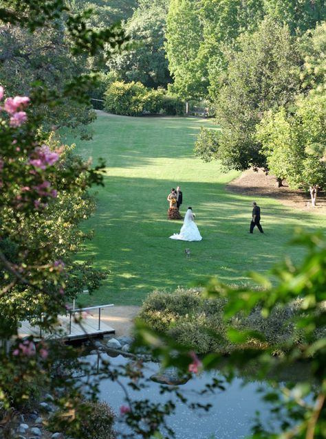 Weddings | The Arboretum Ca Wedding Venues, Queen Anne Cottage, La Arboretum, Los Angeles Arboretum, La Wedding Venues, Orange County Wedding Venues, 8th Wedding Anniversary Gift, Arboretum Wedding, Renewal Ceremony