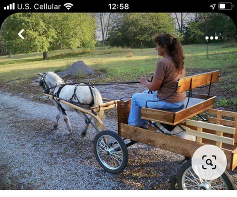 Buckboard Wagons, Miniature Horse Driving, Mini Horse Cart, Urban Mushing, Pet Donkey, Horse Driving, Driving Horses, Mini Donkeys, Donkey Cart