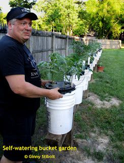 Bucket Gardening 5 Gallon, Bucket Garden, Compost Container, Bucket Planters, Bucket Gardening, Vegetable Garden Tips, Inside Garden, Building A Raised Garden, Garden Vegetable