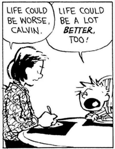 Calvin & Hobbes was my childhood Funny Photos Of People, Funny Effects, Calvin And Hobbes Comics, Could Be Worse, Funny Dp, Funny Emoji, Funny Captions, Funny Doodles, Funny As Hell