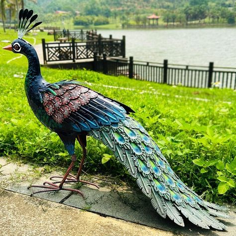 Metal Peacock, Peacock Garden, Patio Art, Decor Sculpture, Outdoor Living Decor, Garden And Yard, Art Home, Ornament Decor, Outdoor Gardens