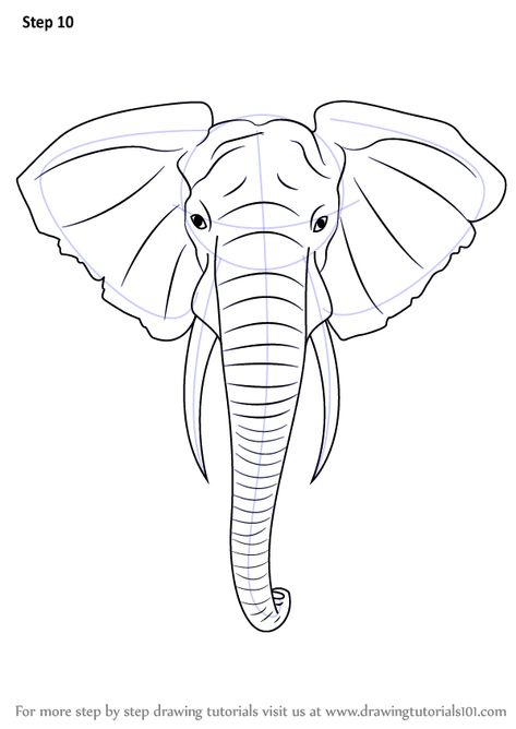 Learn How to Draw an Elephant Head (Zoo Animals) Step by Step : Drawing Tutorials Elephant Head Drawing, Draw An Elephant, Drawing Hands, Elephant Drawing, Drawing Heads, Big Animals, Elephant Painting, Tableau Art, Elephant Head