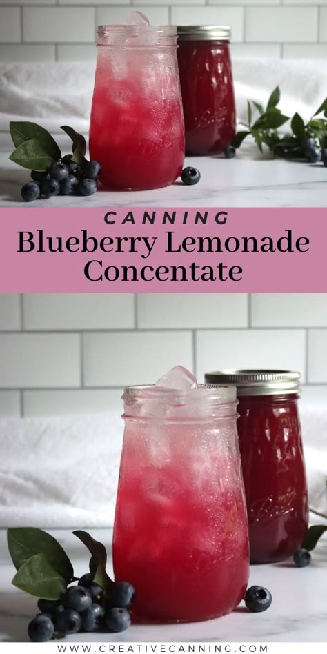 Canning Blueberry Lemonade Concentrate Blueberry Canning, Preserve Blueberries, Canning Blueberries, Simple Canning, Lemonade Concentrate Recipe, Fruit In Jars, Canning Fruit Recipes, Canning Apple Pie Filling, Preserve Fruit