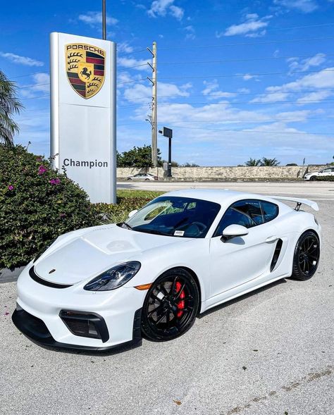 Porsche Techart, Porsche 718 Gt4, Xe Bugatti, New Audi Car, Gt4 Rs, Carros Porsche, Porsche Cayman Gt4, Porsche 718 Cayman, Audi Car