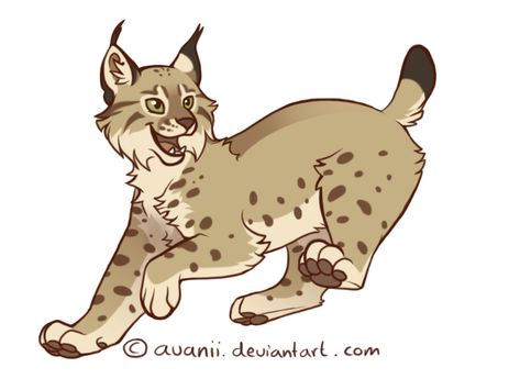 Happy Lynx by Avanii on DeviantArt Canada Lynx, Eurasian Lynx, Cute Nose, Fat Belly, Unique Drawings, Cat Pose, New Character, Cats Artists, Warming Up