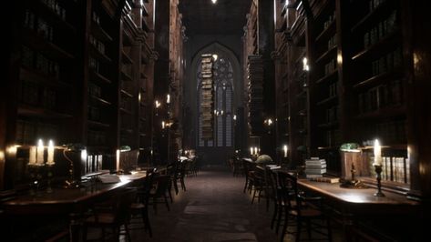 Dark Academia Template, Library Video, Harry Potter Library, Darkest Academia, Hogwarts Library, Template Notion, Library Aesthetic, Hogwarts Aesthetic, Slytherin Aesthetic