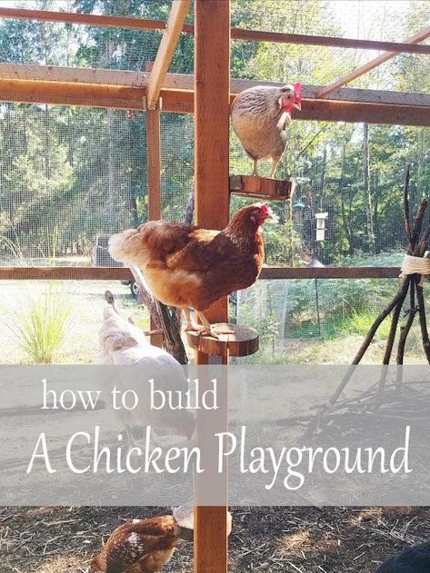 Chicken Playground, Chicken Coop Designs Diy, Chicken Coop Blueprints, Chicken Coop Garden, Chicken Coop Decor, Diy Chicken Coop Plans, Chicken Coop Run, Coops Diy, Chicken Run