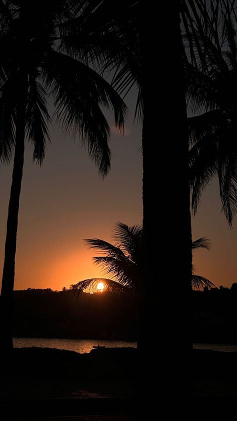 Florida Night, Daniel Silva, Beach At Night, Dream Places, Night Aesthetic, Summer Pictures, Bahamas, Maldives, Picture Video