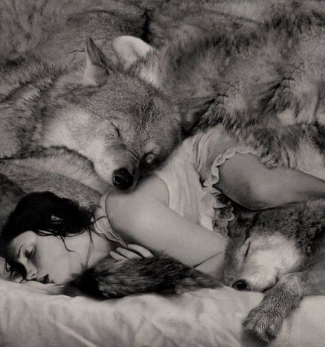 Robin Isely, Lup Singuratic, Werewolf Aesthetic, Wolves And Women, She Wolf, Wolf Love, Wolf Spirit, The Full Moon, Poses References