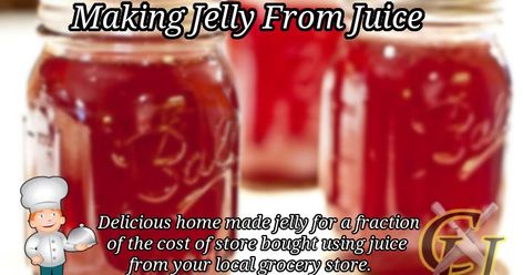 Recently when my wife and I were shopping at our local Walmart we came across two different types of juices that were going to ex... How To Make Jelly From Juice, Apple Jelly From Bottled Juice, Jelly From Store Bought Juice, Jelly Made From Bottled Juice, Juice Jelly Recipes, Fruit Juice Jelly Recipe, Making Jelly From Fruit Juice, Jelly From Juice Recipes, Apple Juice Jelly Recipe