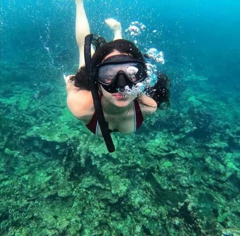 1 new message Underwater Photos, Cancun Snorkeling, Snorkeling Pictures, Girl Underwater, Ocean Girl, Ocean Day, Adventure Inspiration, Scuba Girl, Adventure Aesthetic