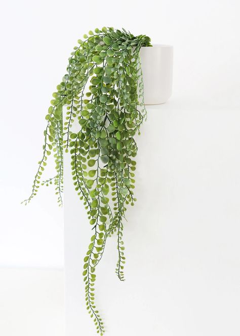 Tall Fake Plants, Bathroom Plant, Button Fern, Red Bathroom Accessories, Hanging Indoor Plants, Hanging Ferns, Fake Potted Plants, Fake Hanging Plants, Plant Styling