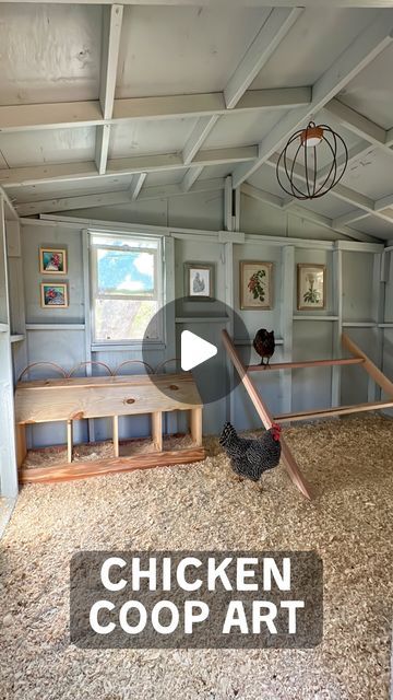 Chicken House Inside, Inside Coop Ideas, Chicken Coop Inside Ideas, Chicken Coop Ideas Inside, Chicken Coop Paint Ideas, Inside Chicken Coop Ideas, Inside Of Chicken Coop Ideas, Deep Bedding Chicken Coop, Chicken Coop Interior Ideas