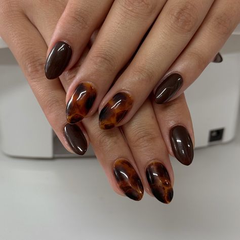 tortoise shell will continue to be my favorite🤎 gel-x rebuild😍 #nails #nailsnailsnails #gelx #gelxmani #nailtech #nailart #trendynails #utahnails #naildesign #clt #cltnails #concordnails #concord #kannapolis #kannapolisnails Navy Blue And Tortoise Shell Nails, Black And Tortoise Shell Nails, Tortoise Shell French Tip Nails Square, Tortie Shell Nails, Tortoise Gel Nails, Tortas Shell Nails, Tortoise Shell Gel Nails, Tortoise Nails Short, Tortoshelle Nails